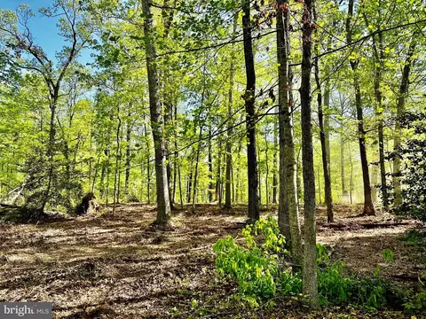 Lot A Springs Road, Warrenton, VA 20186