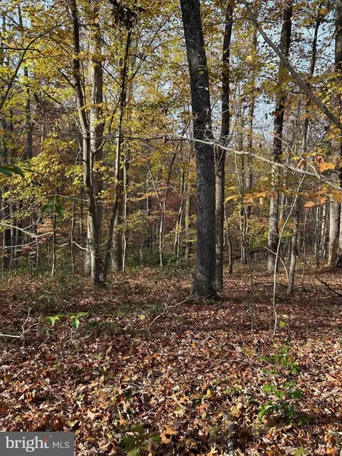 Free State Rd, Marshall, VA 20115 photo 6