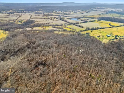 41 Acres - Ramey Rd, Marshall, VA 20115 photo 12
