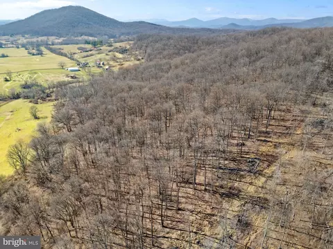 41 Acres - Ramey Rd, Marshall, VA 20115 photo 3