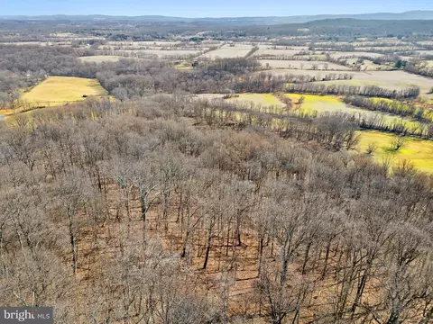 41 Acres - Ramey Rd, Marshall, VA 20115 photo 7