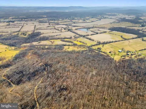 41 Acres - Ramey Rd, Marshall, VA 20115 photo 14