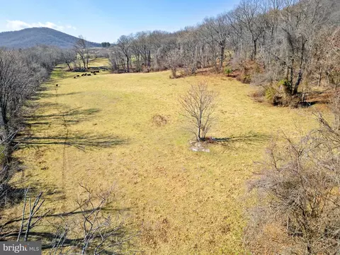 41 Acres - Ramey Rd, Marshall, VA 20115 photo 6