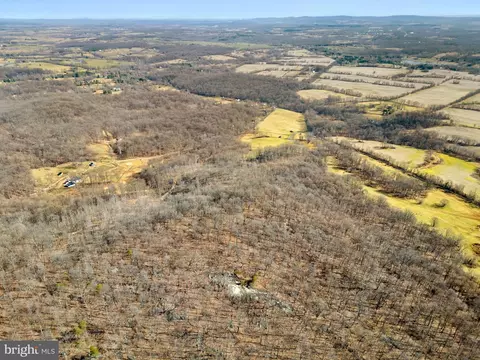 41 Acres - Ramey Rd, Marshall, VA 20115 photo 20