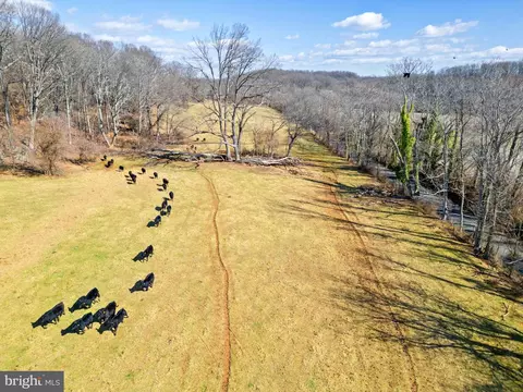 41 Acres - Ramey Rd, Marshall, VA 20115 photo 18