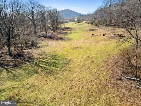 41 Acres - Ramey Rd, Marshall, VA 20115 photo 4