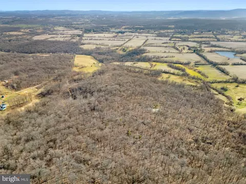 41 Acres - Ramey Rd, Marshall, VA 20115 photo 16