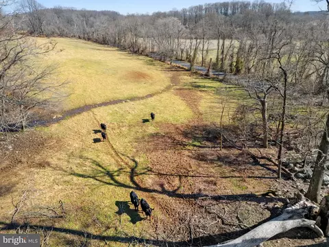 41 Acres - Ramey Rd, Marshall, VA 20115 photo 9