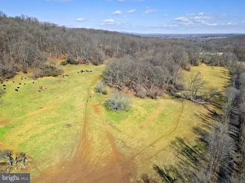41 Acres - Ramey Rd, Marshall, VA 20115 photo 13