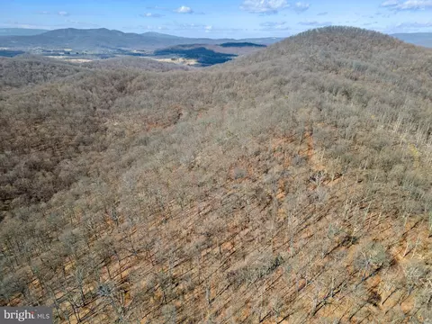 41 Acres - Ramey Rd, Marshall, VA 20115 photo 8
