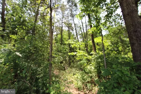 Catlett School Rd, Catlett, VA 20119 photo 3