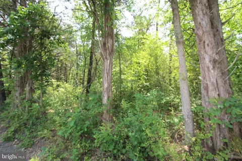 Catlett School Rd, Catlett, VA 20119 photo 4