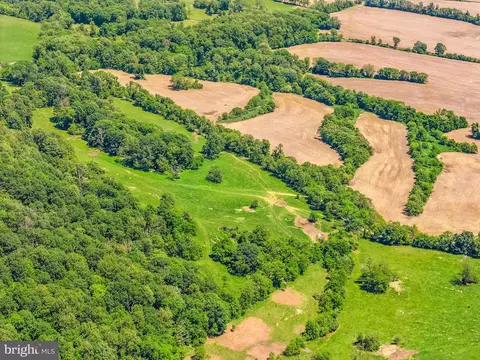 86 Acres - Ramey Rd, Marshall, VA 20115 photo 16