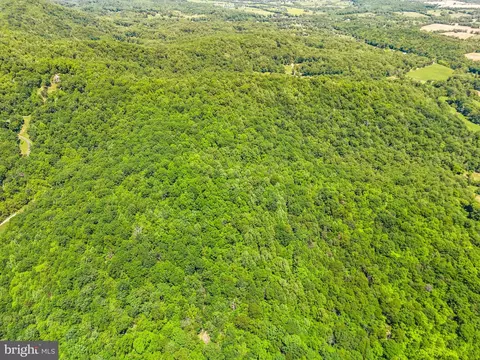 86 Acres - Ramey Rd, Marshall, VA 20115 photo 15
