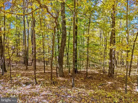 Viewtree Drive, Warrenton, VA 20186 photo 3