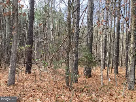 Shenandoah Path, Catlett, VA 20119