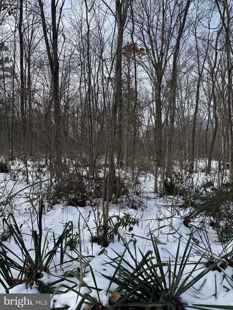 lot14 Piney Ln, Remington, VA 22734