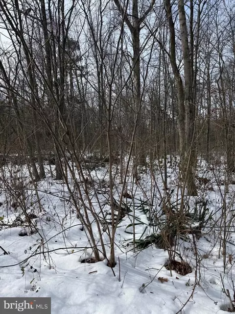 lot15 Piney Ln, Remington, VA 22734