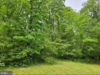 Catlett School Road, Catlett, VA 20119