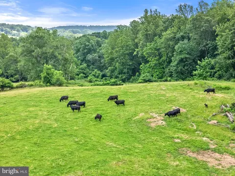 10674 Ada Rd, Marshall, VA 20115 photo 26