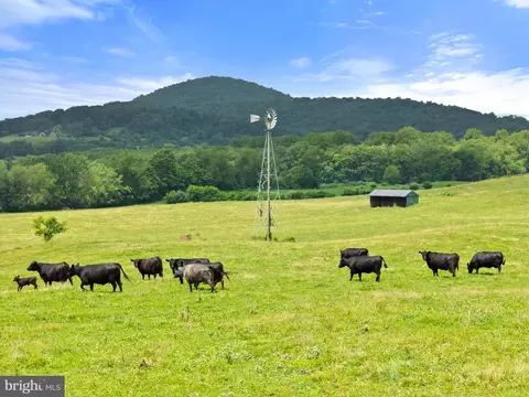 10674 Ada Rd, Marshall, VA 20115 photo 27