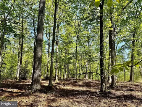 00 Lot 3 Tapps Frd, Amissville, VA 20106