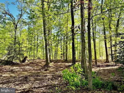 000 Lot 4 Tapps Frd, Amissville, VA 20106