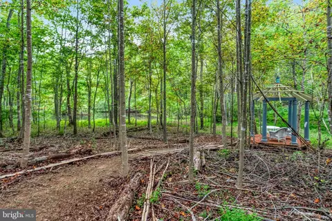 Other - 5536 Keyser Rd, Hume, VA 22639 photo 18 of 26