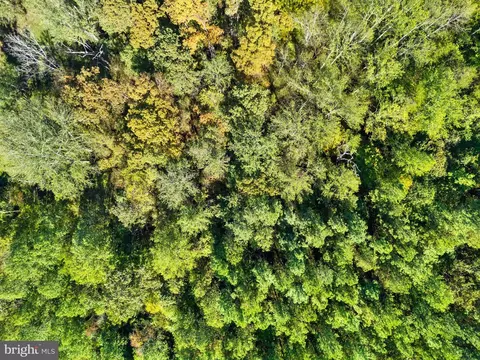 Olinger Road, Marshall, VA 20115 photo 14