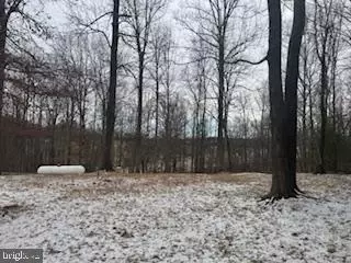 4520 Free State Rd, Marshall, VA 20115 photo 19