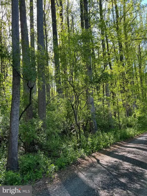 Carletans Ln, The Plains, VA 20198
