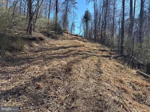 Carters Run, Marshall, VA 20115 photo 10