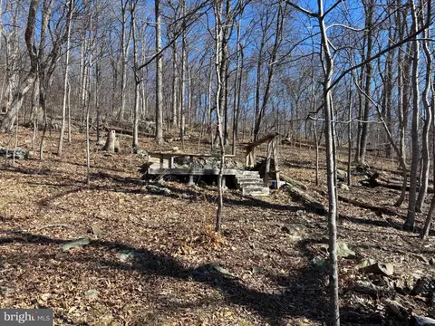 Carters Run, Marshall, VA 20115 photo 6