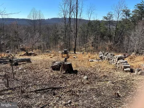 Carters Run, Marshall, VA 20115 photo 5