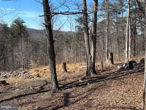 Carters Run, Marshall, VA 20115 photo 3