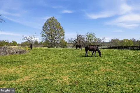 Other - 2517 Five Points Rd, Marshall, VA 20115 photo 37 of 54