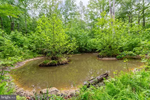 4281 Bear Bug Ln, Bealeton, VA 22712 photo 49