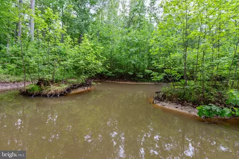 4281 Bear Bug Ln, Bealeton, VA 22712 photo 48