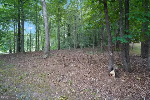 Exterior - 6067 Pilgrims Rest Rd, Broad Run, VA 20137 photo 14 of 18