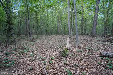 Other - 6067 Pilgrims Rest Rd, Broad Run, VA 20137 photo 15 of 15