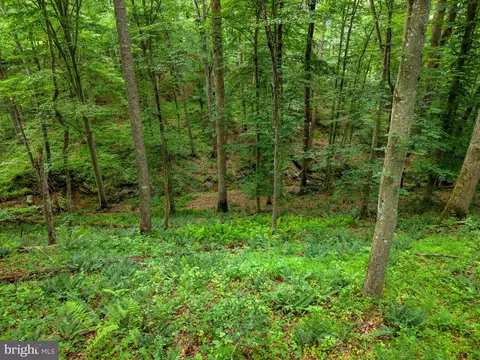 Other - 9914 Crest Ct, Marshall, VA 20115 photo 33 of 40