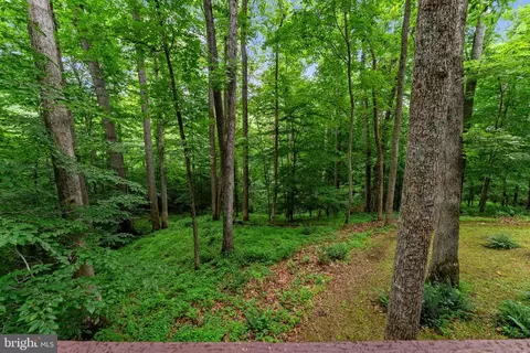 Exterior - 9914 Crest Ct, Marshall, VA 20115 photo 27 of 33