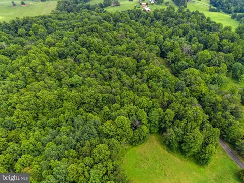 View/Area - 9914 Crest Ct, Marshall, VA 20115 photo 4 of 5