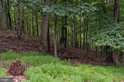 Other - 9808 Timber Hts, Marshall, VA 20115 photo 18 of 21