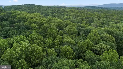 View/Area - 9808 Timber Hts, Marshall, VA 20115 photo 5 of 6