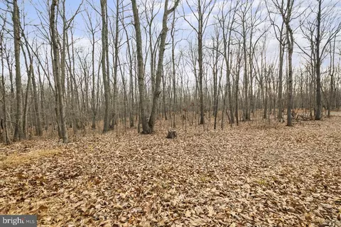 Other - 7389 Leeds Manor Rd, Marshall, VA 20115 photo 12 of 20