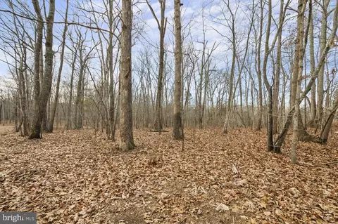 Other - 7389 Leeds Manor Rd, Marshall, VA 20115 photo 11 of 20