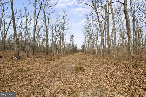 Other - 7389 Leeds Manor Rd, Marshall, VA 20115 photo 13 of 20