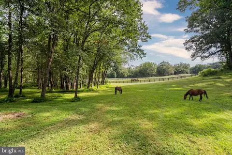 Other - 5352 Dixons Mill Rd, Marshall, VA 20115 photo 24 of 26