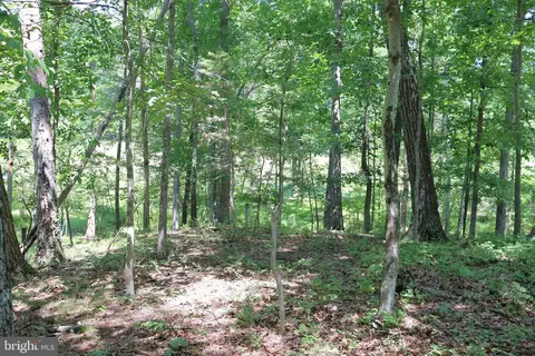 Other - 8000 Springhope Dr, Catlett, VA 20119 photo 47 of 49